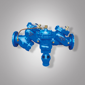 Backflow preventer